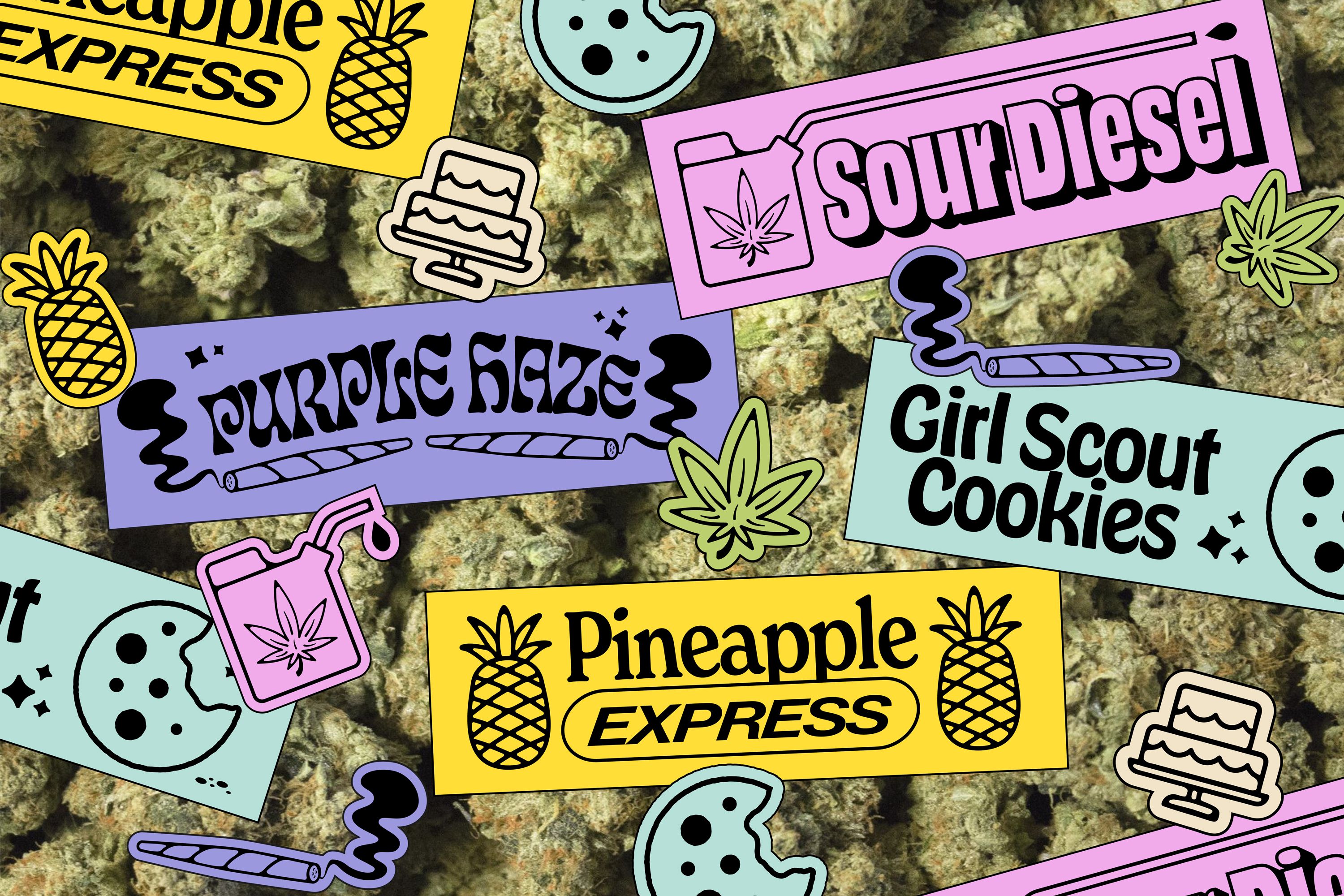 18 Weed Strains Every Stoner (and Newbie) Should Know