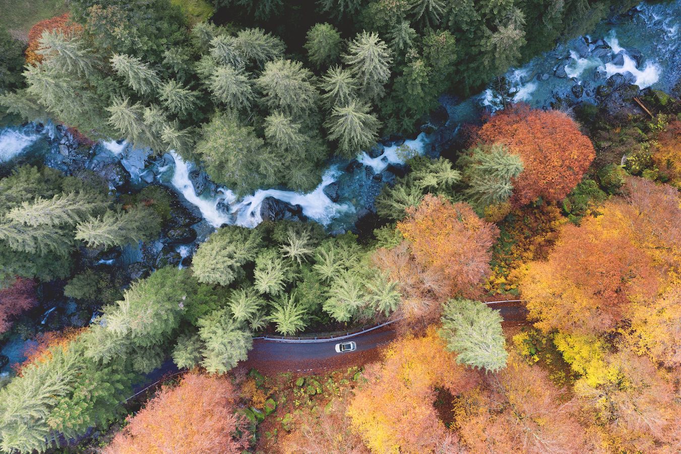 Dove Andare In Autunno In Italia: 10 Idee Per Il Weekend