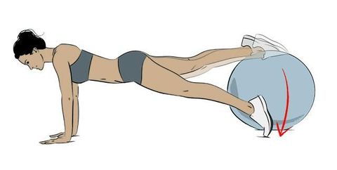 Arm, Press up, Leg, Exercise equipment, Abdomen, Joint, Muscle, Knee, Hip, Ball, 