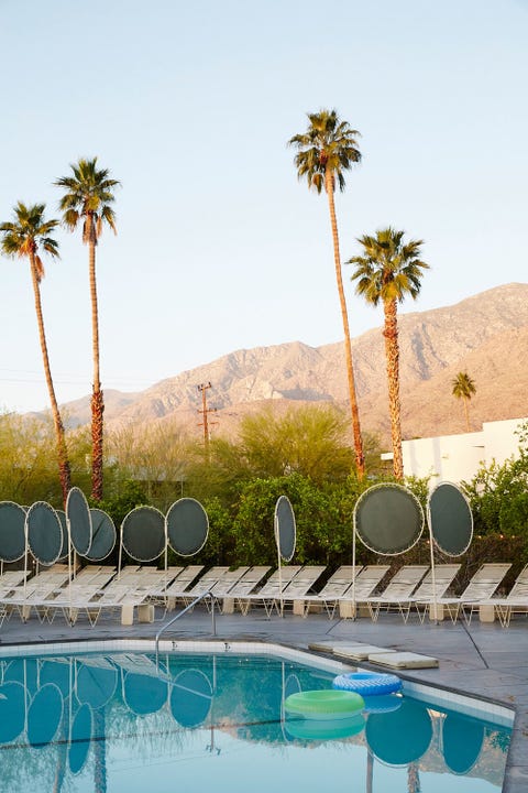 Swimming pool, Tree, Palm tree, Sky, Vacation, Arecales, Resort, Water, Landscape, Leisure, 