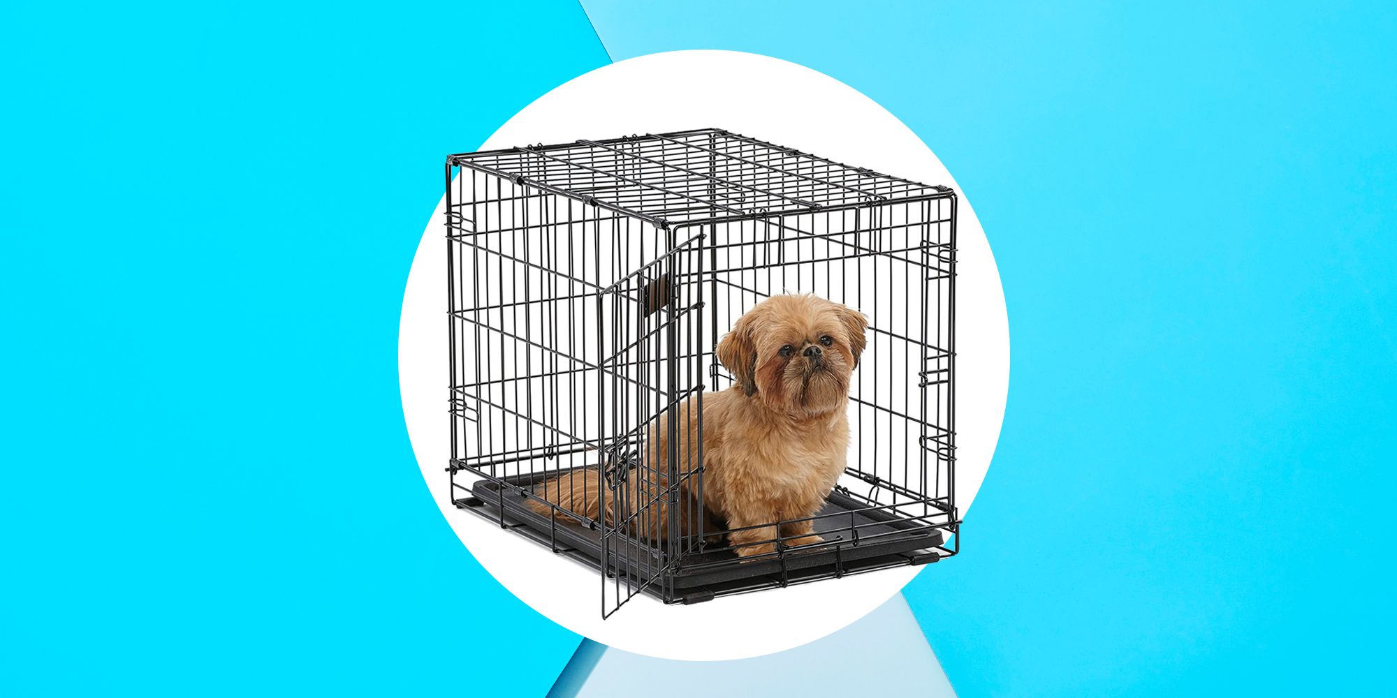 where to get cheap dog crates