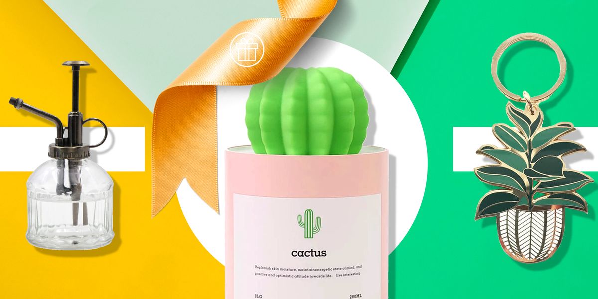 35 Best Gifts For Plant Lovers 2020 - Unique Plant Presents