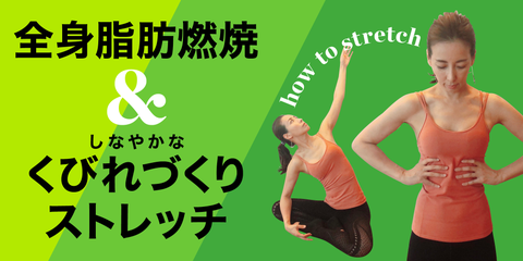体を柔らかくしてやせ体質に ストレッチのメリット タイミング やり方をトレーナーが徹底解説 体を柔らかくしてやせ体質に ストレッチのメリット タイミング やり方をトレーナーが徹底解説