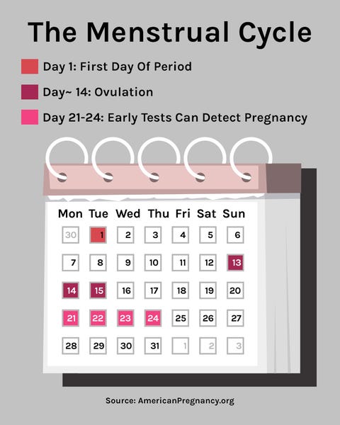 Anovulation And Ovulatory Dysfunction
