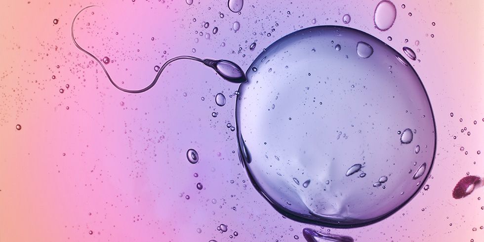 What Is Ovulation - Fertility Calendar and Ovulation Symptoms