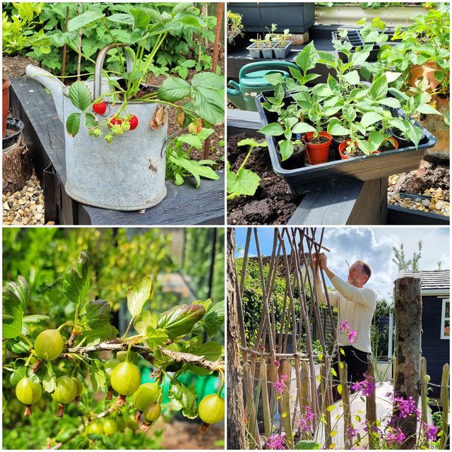 what to do in the garden in may
