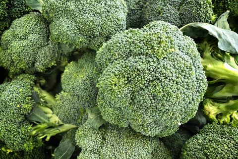 what to plant in september broccoli
