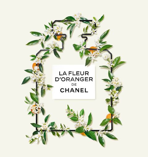 New Chanel perfume garden in Paris in June 2023