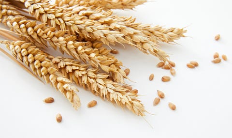 花粉症患者は果物に過敏反応しやすい 増える成人食物アレルギーの事実 花粉症患者は果物に過敏反応しやすい 増える成人食物アレルギーの事実