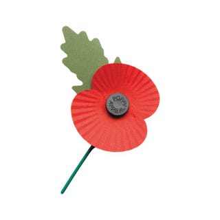 Remembrance day words that rhyme