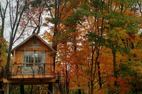 31 Amazing Treehouses You Can Rent In 2020 Best Tree House Vacations