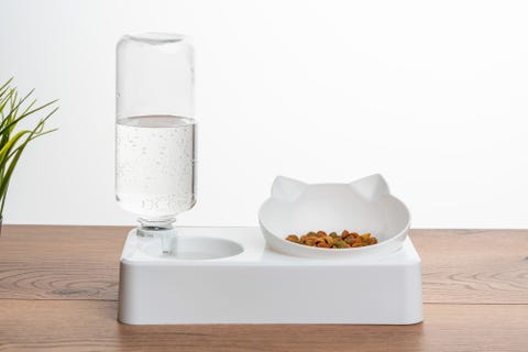 white cat food bowl with self filling water auto feeder for cats