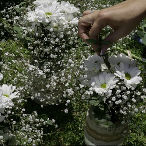white bouquets of daisies in glasses