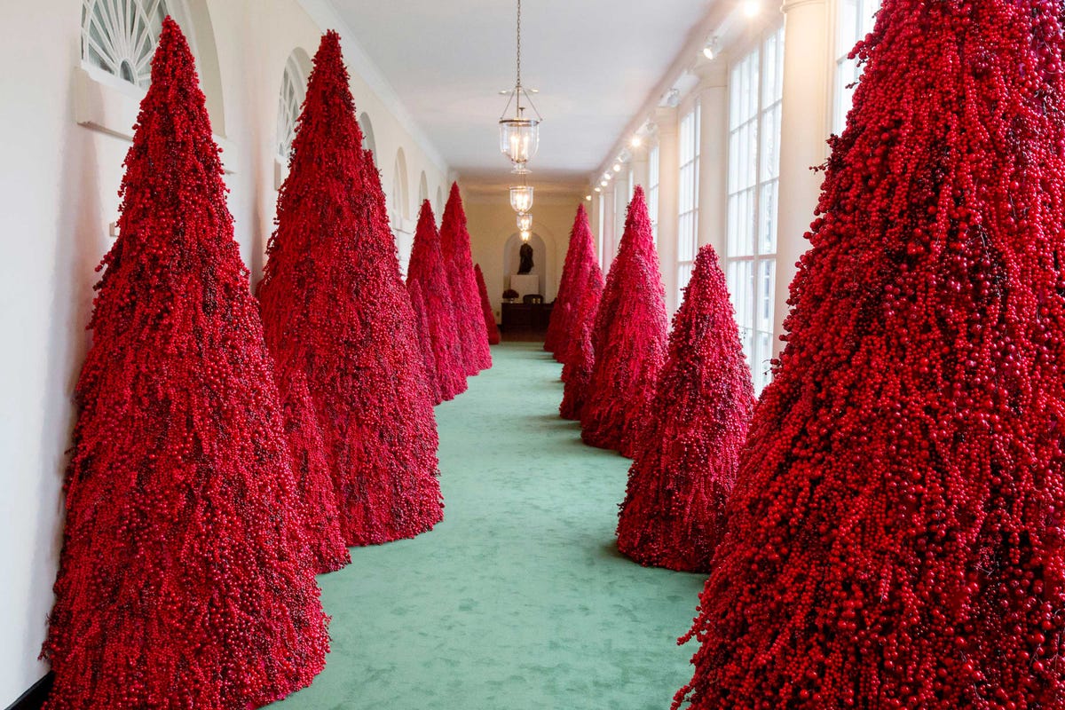 White House Christmas 2022 Handmaids White House Christmas Decorations Confuse Twitter Yet Again