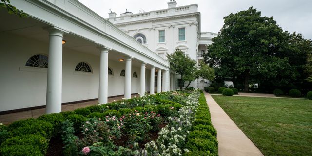 White House Rose Garden History Melania Trump S Changes To The Rose Garden