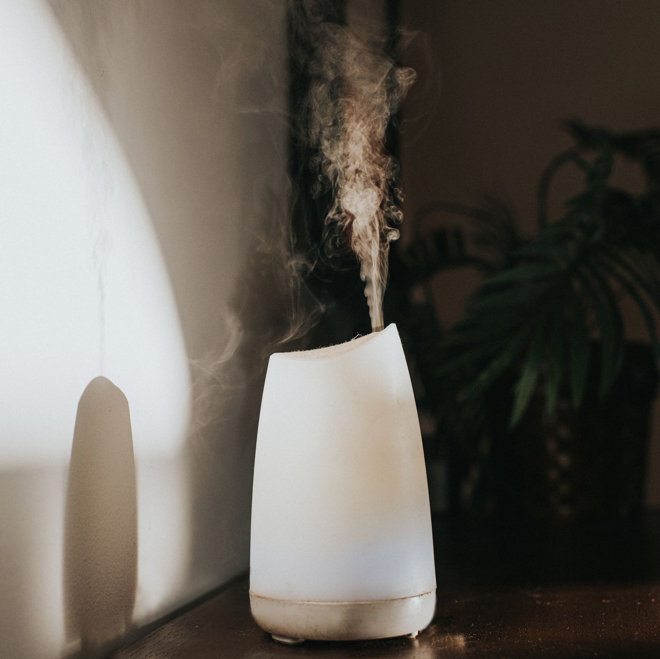 You Should Be Cleaning Your Humidifier Regularly—Here's How