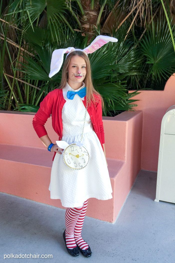 20 Diy Alice In Wonderland Costume Ideas Best Costumes - Alice In Wonderland Rabbit Costume Diy