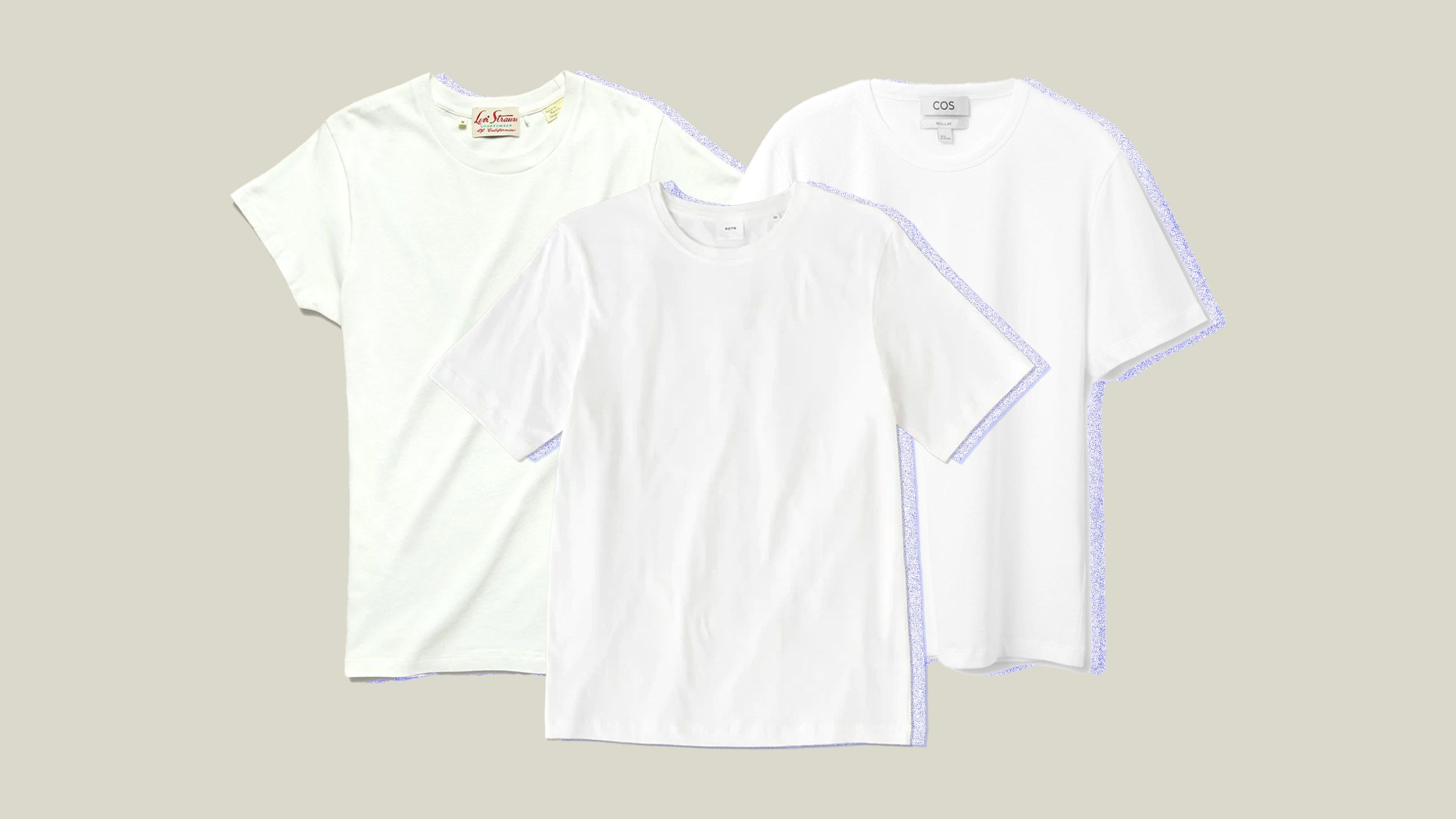 Manager Landsdækkende pyramide Everyone Should Own a Solid White T-Shirt