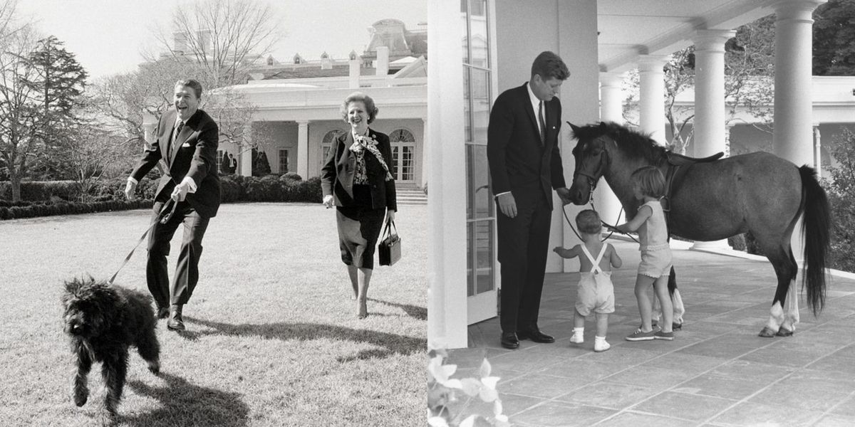 アメリカ大統領は動物好き ホワイトハウスの歴代ペット9