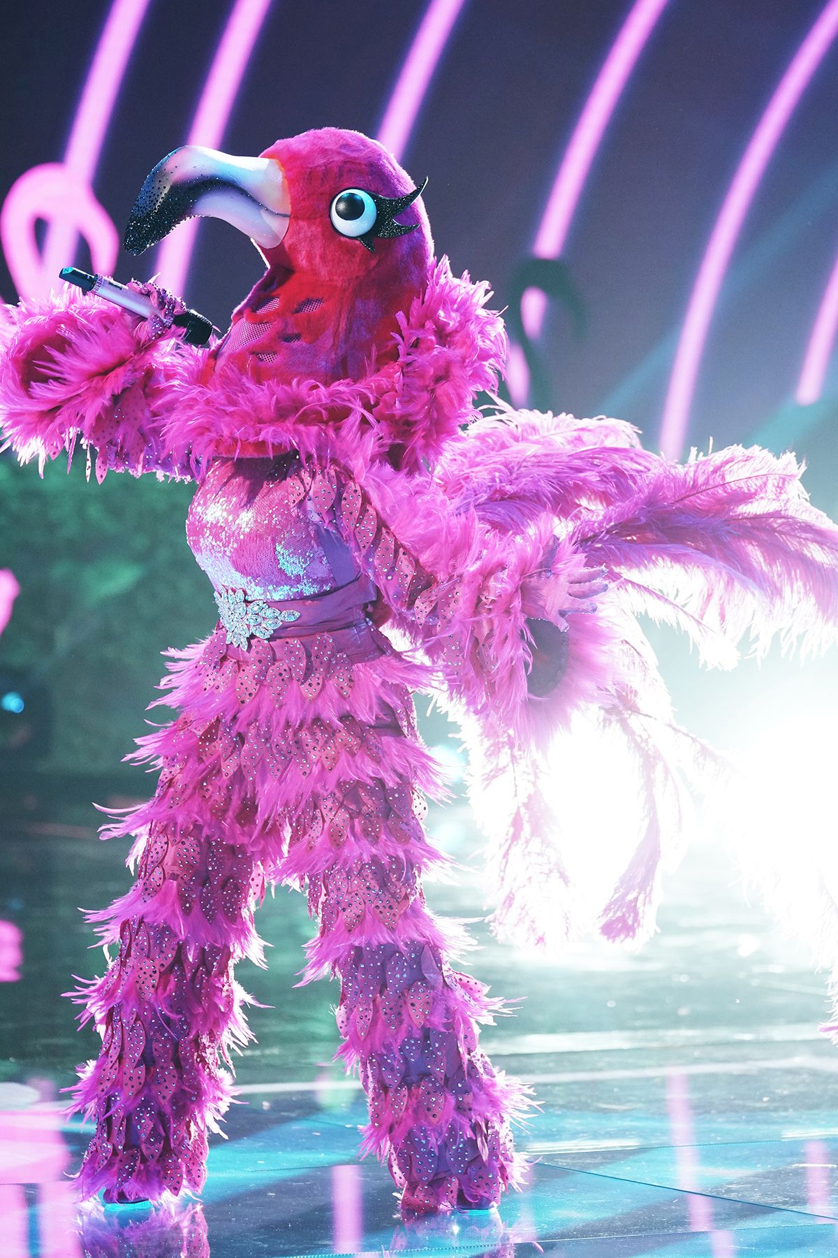 Who Is The Flamingo On The Masked Singer The Flamingo