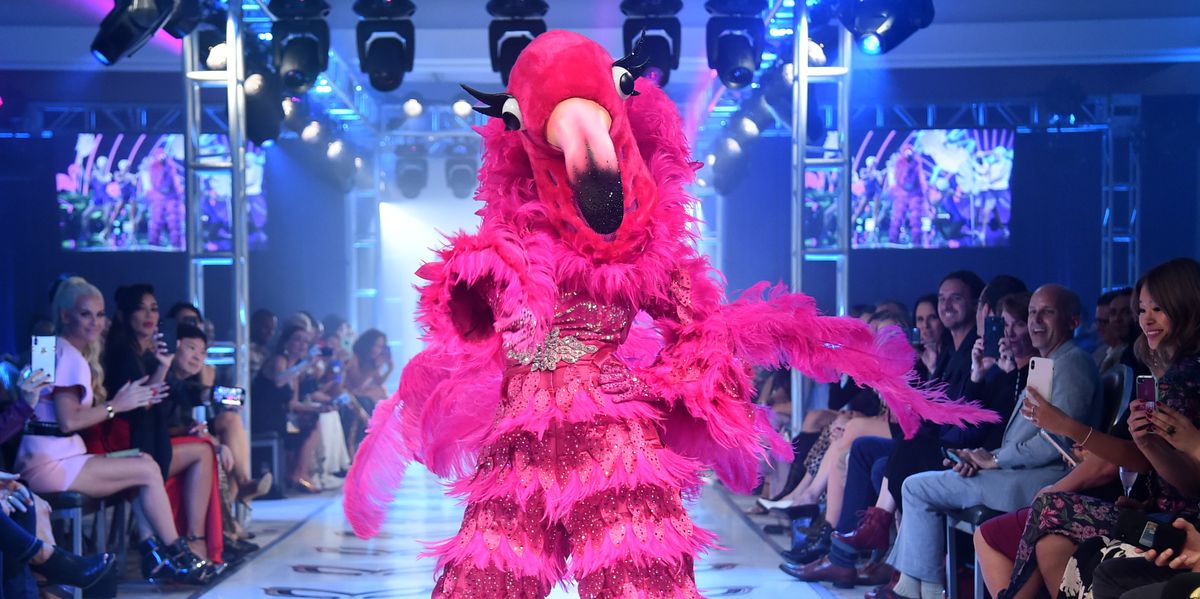 Who Is The Flamingo On The Masked Singer Clues And Guesses