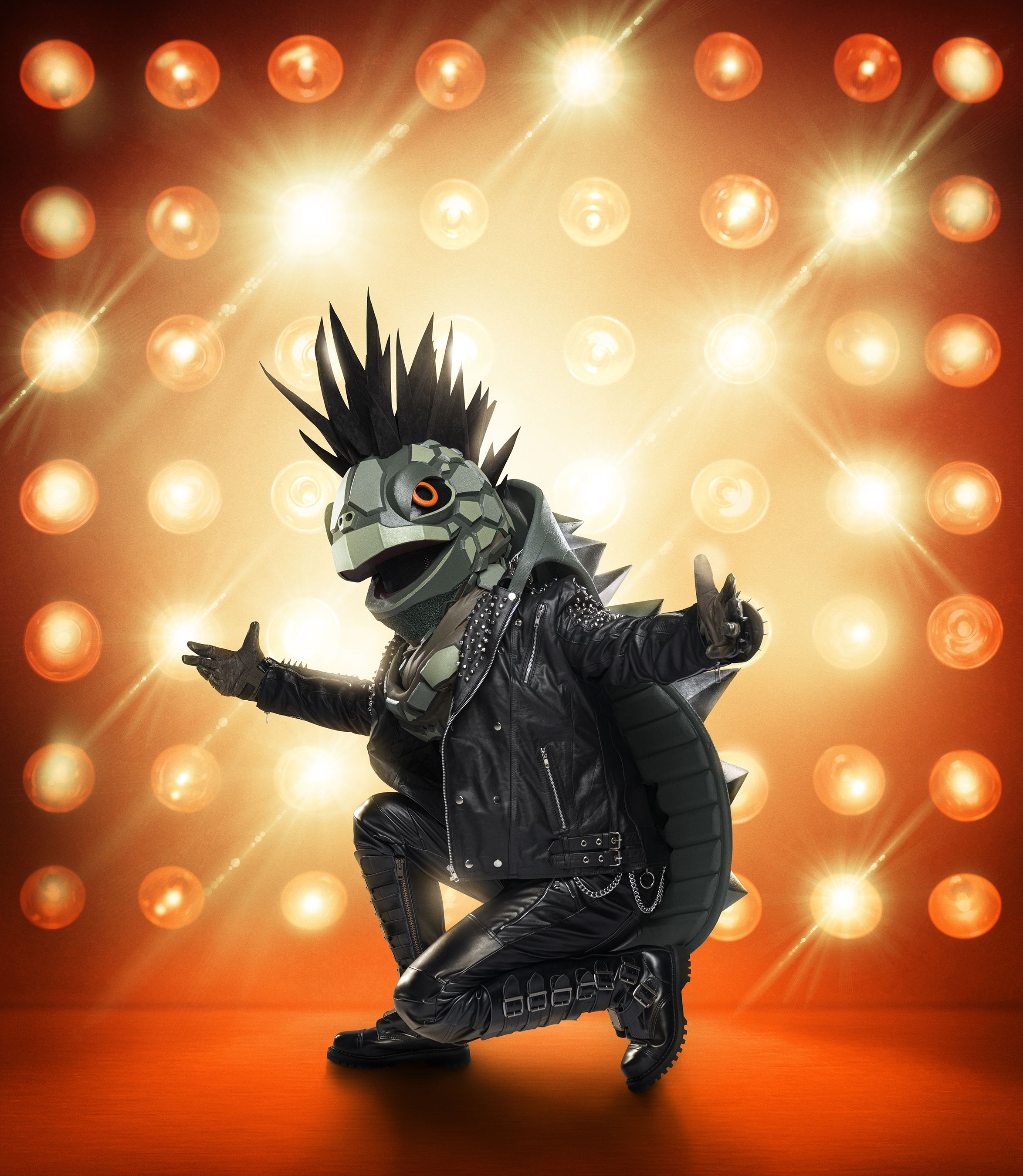rock & pop turtle