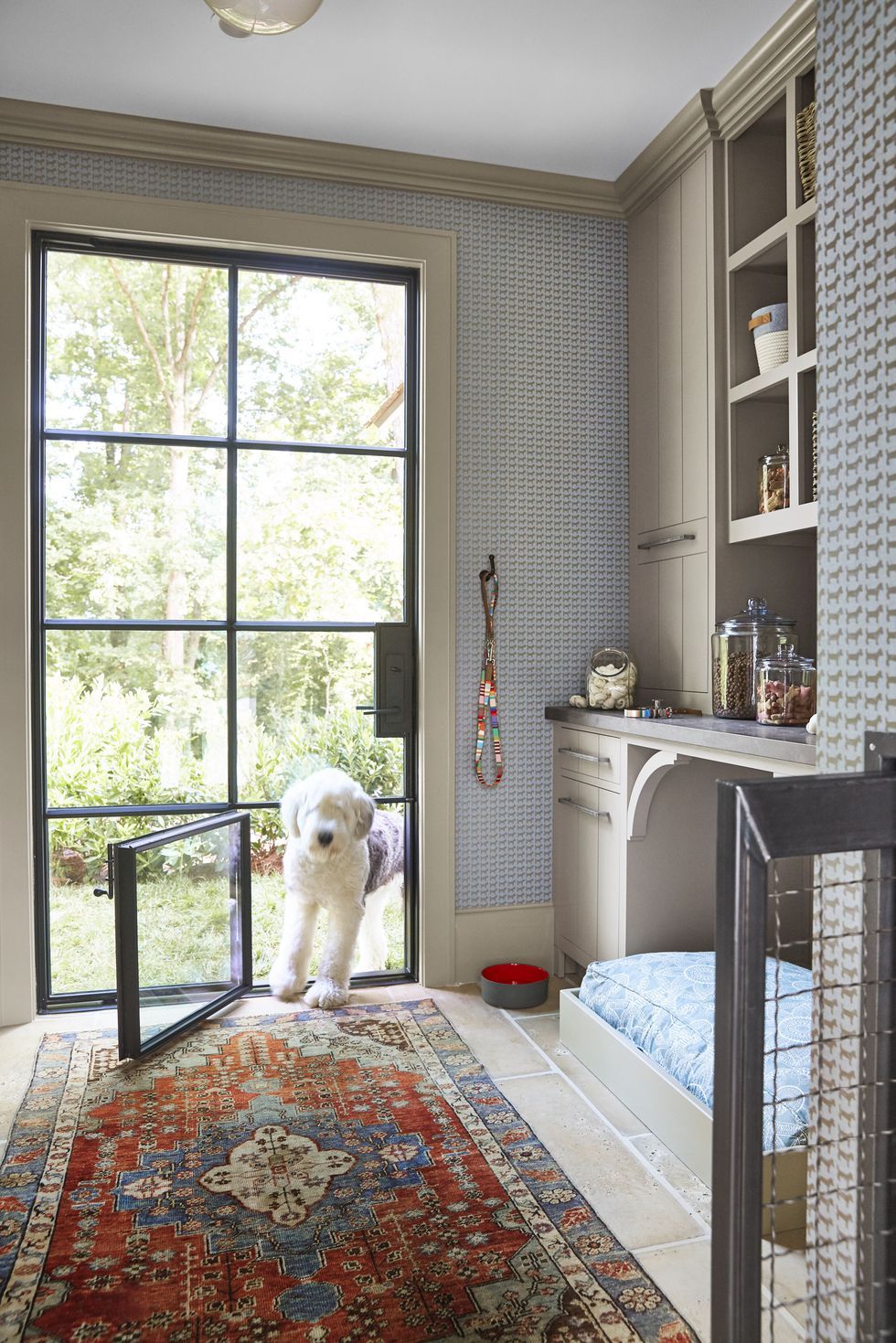 Every Pet Parent S Dream Home Needs A Doggy Room House