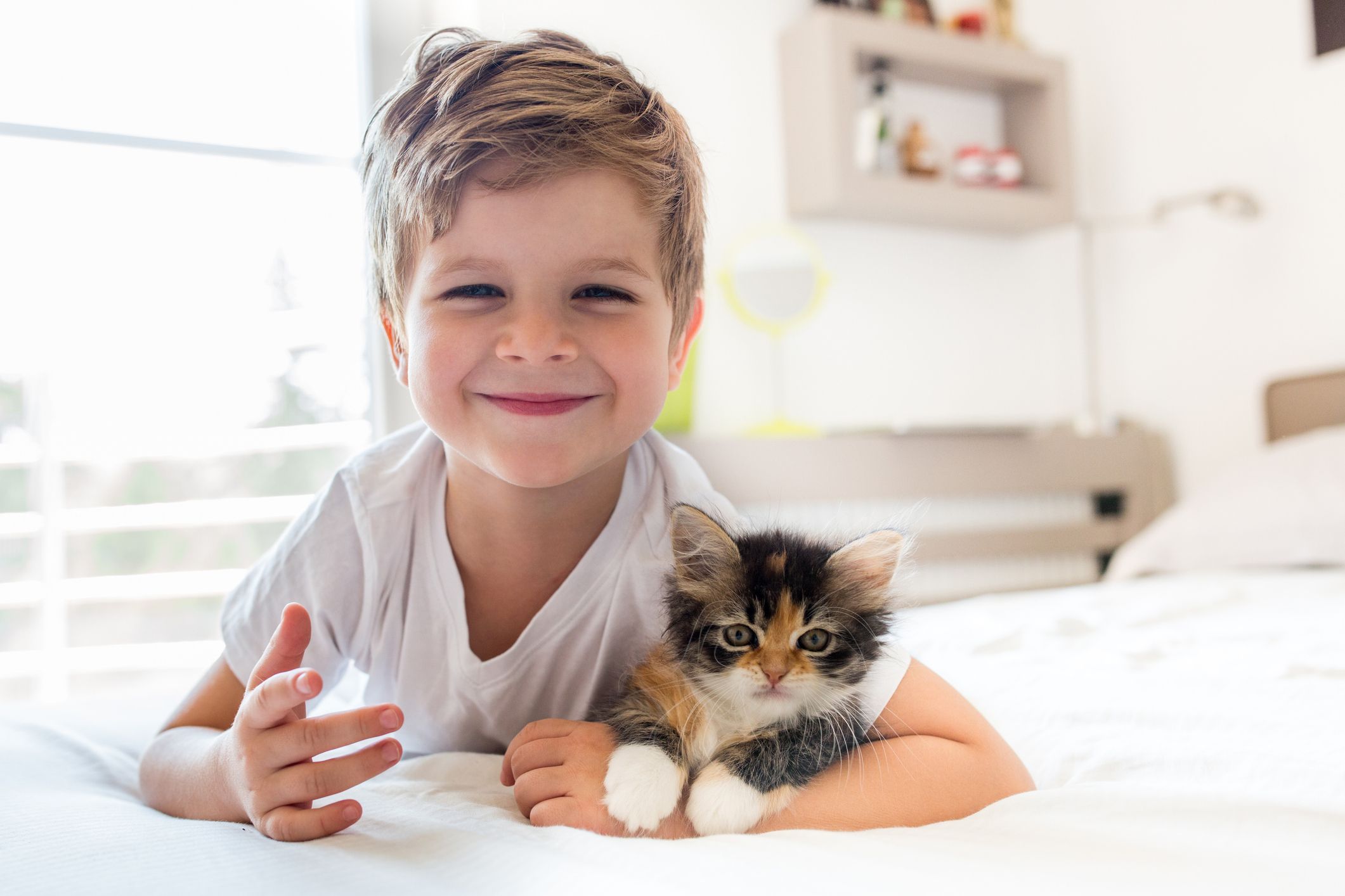 cats that are good with kids