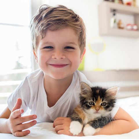 Why Cats Are Best Pets - Cats Are Good with Children