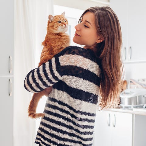 Why Cats Are Best Pets Therapeutic