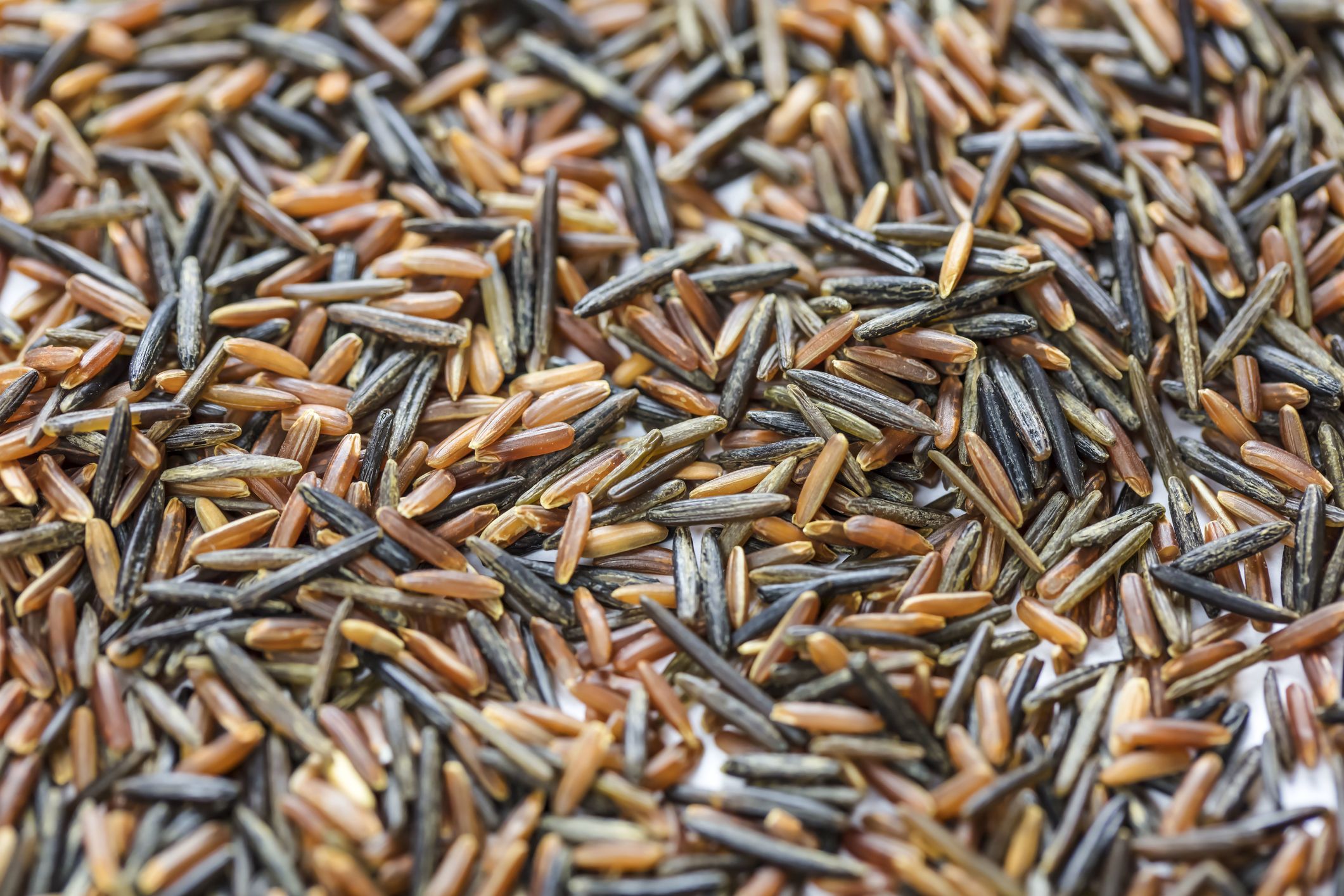 wild-rice-isn-t-actually-rice-at-all-health-problems-news