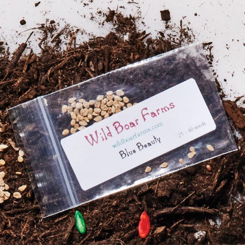 wild boar farms seed packet