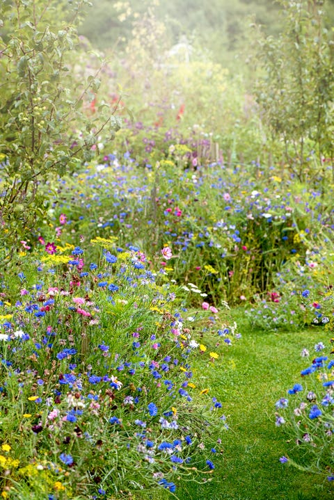 How To Create A Wildlife Garden At Home - Garden Design Ideas