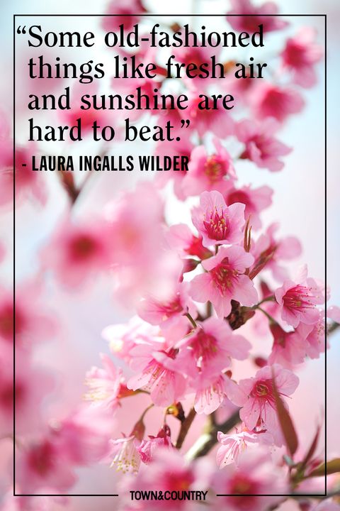 20 Best Spring Quotes - Inspirational and Funny Sayings About Spring