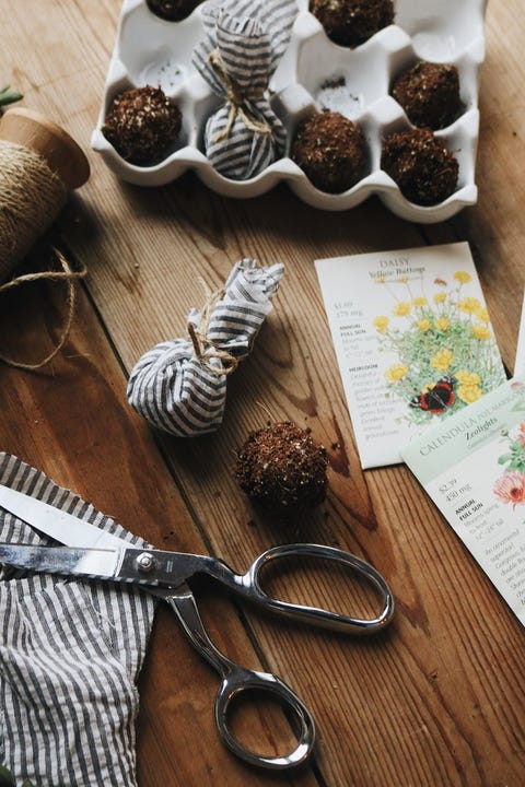 diy floral seed bomb
