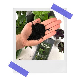 willow organic biochar in hand over planter