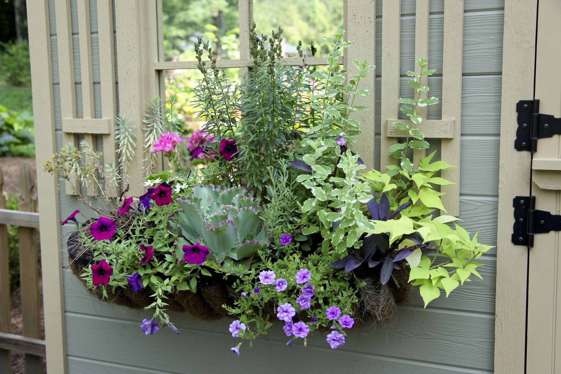 how do you fill a planter box