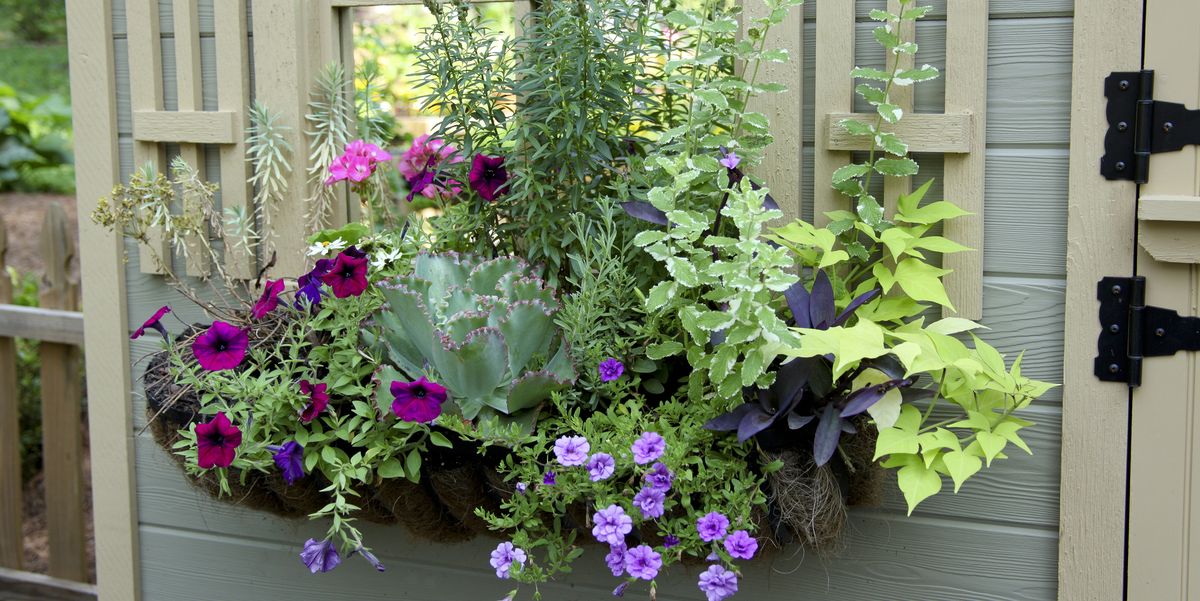 20 Planter Box Ideas To Inspire You, Best Plants For Garden Urns