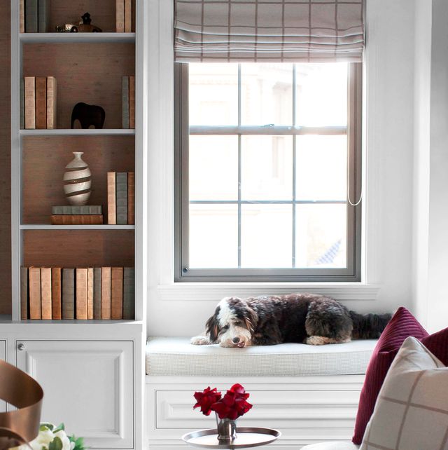Cozy Window Seat Ideas How To Design A Window Reading Nook