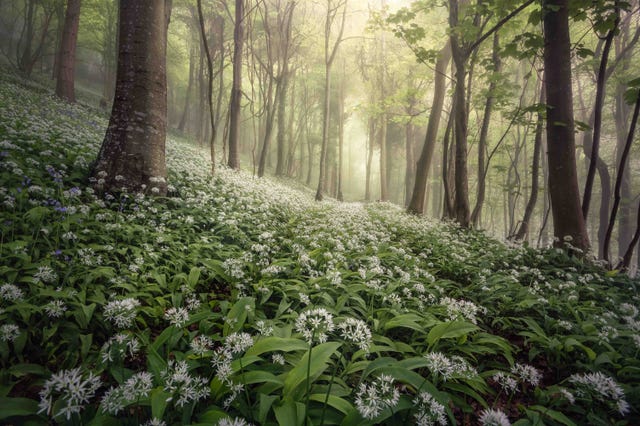 Le Foto Di Paesaggi Della Gran Bretagna Vincitrici Del Landscape Photographer Of The Year