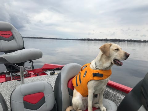 How This Visually Impaired Runner And Guide Dog Find Their Way How This Visually Impaired Runner And Guide Dog Find Their Way