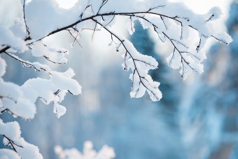 Frons diamant Adolescent Waarom is sneeuw eigenlijk wit? (En nog vier sneeuwvragen)