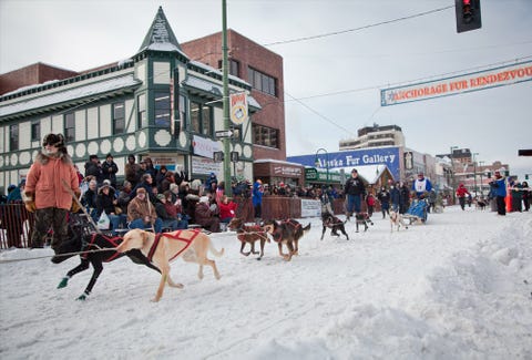 Fur Rendezvous in Anchorage, Alaska Fur Rendezvous in Anchorage, Alaska - Best Winter Festivals