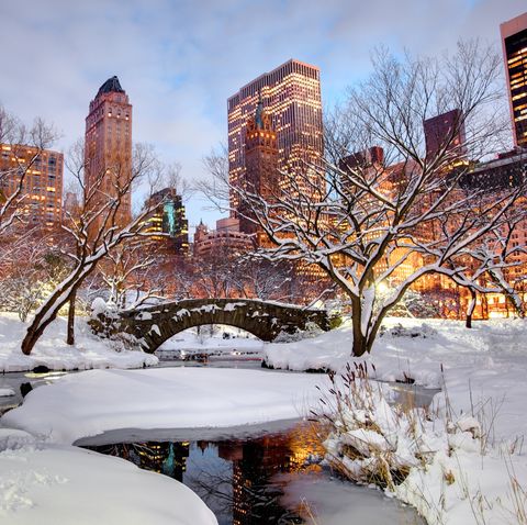 winter in central park, new york city