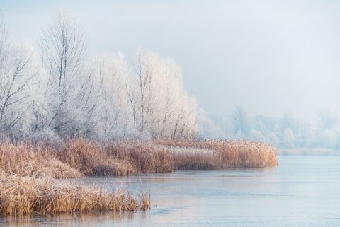 winter landscape of the frozen pond and rime ice on the trees