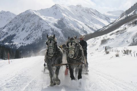 Snow, Horse, Winter, Mountain range, Rein, Pack animal, Geological phenomenon, Vehicle, Glacial landform, Recreation, 