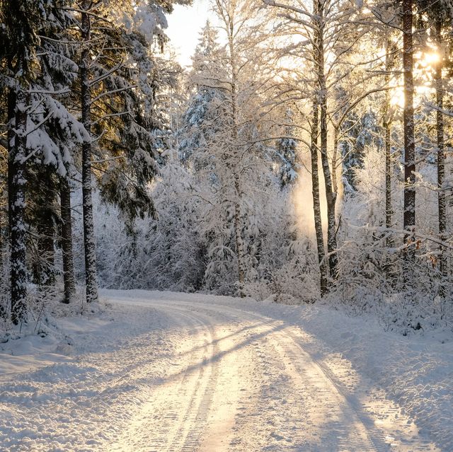 40 Best Winter Quotes - Snow Quotes and Sayings You'll Love