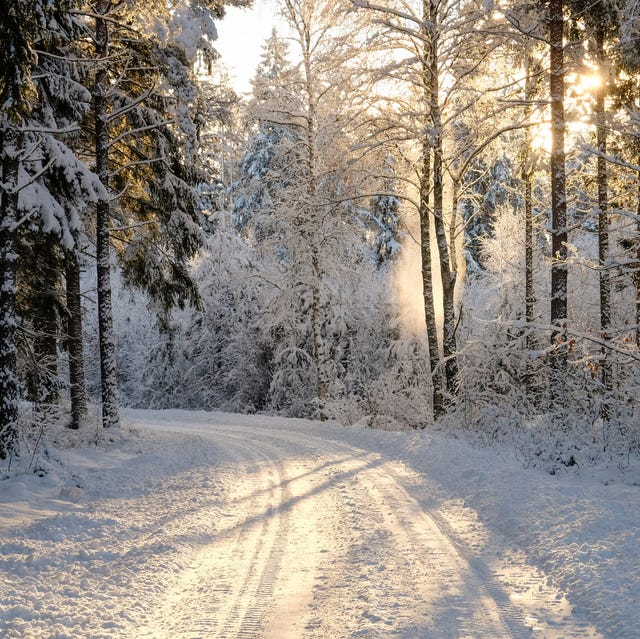 40 Best Winter Quotes - Snow Quotes and Sayings You'll Love