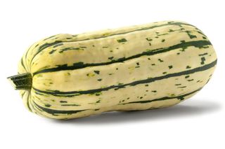 16 Types Of Squash Different Types Of Summer And Winter Squash