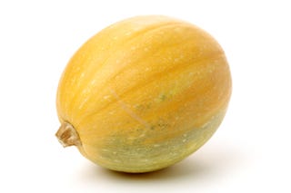 winter squash spaghetti